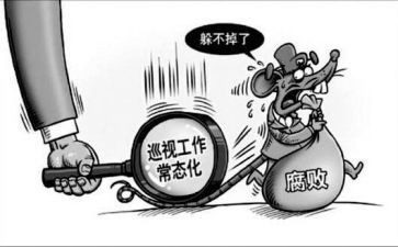 巡查员年终工作总结7篇