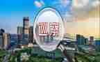 微巡察工作报告参考8篇