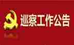 医院党委巡察汇报材料6篇