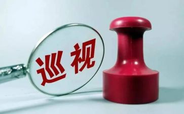 巡视组巡视的心得体会8篇