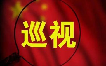 报巡视组工作报告5篇