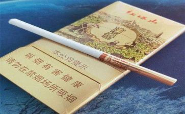 禁烟体会心得5篇