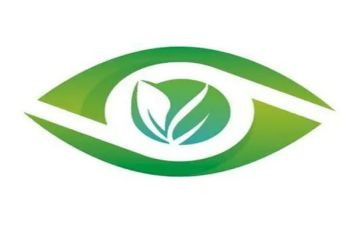 看眼睛作文优质6篇