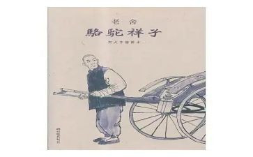我样子的作文优质8篇