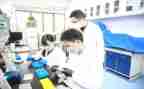 局研究工作报告8篇