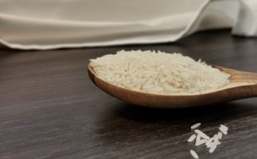 语言一粒米教案5篇