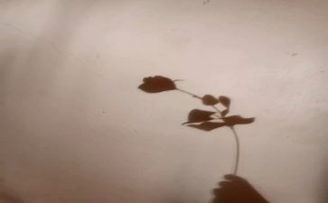 踩影子幼儿教案8篇