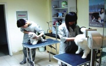 2024年度医院工作总结范文6篇