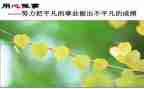 志愿者通用心得体会范文5篇