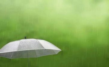 春天的雨500字作文写景8篇