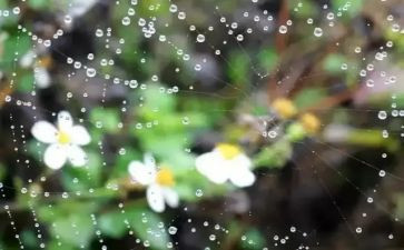 小英雄雨心得体会优质7篇