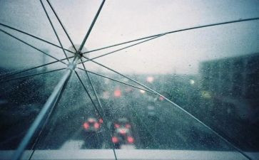 小英雄雨来心得体会8篇