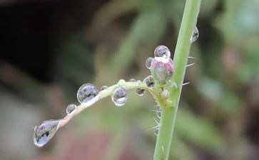 我骄傲我是雨作文6篇