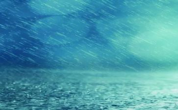 小英雄雨心得体会最新8篇