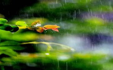 下春雨了大班教案6篇