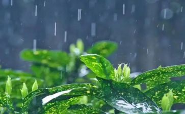 英雄雨来的心得体会优秀8篇