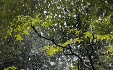 下大雨了作文6篇