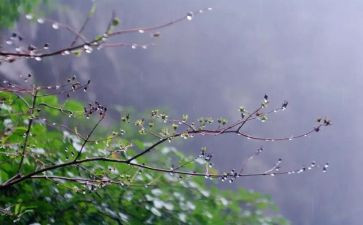 雨过天晴作文参考8篇