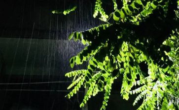 作文雨600字参考5篇