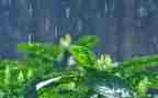 那一场雨作文通用8篇