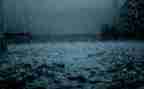 关于雨的心得体会最新5篇