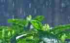 音乐风和雨教案反思7篇