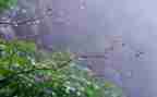作文雨600字优秀5篇