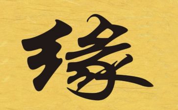 缘的作文800字推荐5篇