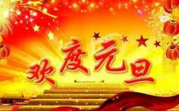 元旦活动后总结报告6篇