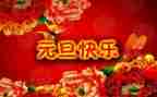 元旦心得体会800优质6篇