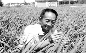 袁隆平先进事迹观后感7篇