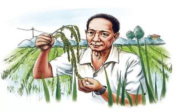 袁隆平先进事迹心得通用8篇