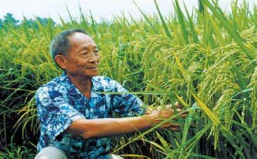 敬袁隆平的作文精选8篇