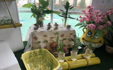 幼儿园培训课程的心得体会参考8篇