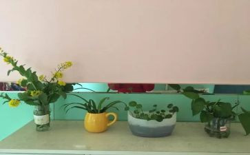 消防幼儿园培训心得体会范文8篇