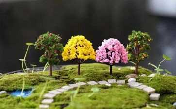 小学校园艺术节活动方案8篇