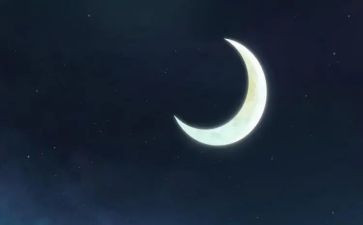 摘月亮教学反思最新5篇