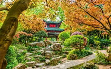 爬岳麓山作文7篇