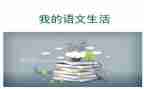 语文老师教语文的心得体会5篇