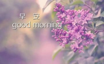 幼儿早期阅读的心得体会6篇
