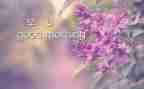 幼儿早期阅读的心得体会6篇