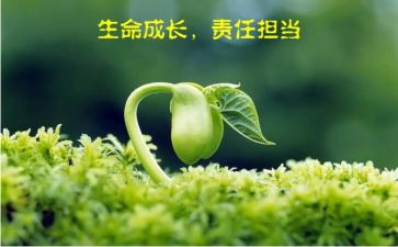 爱与责任心得体会2023优秀8篇