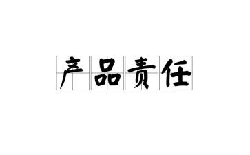责任的作文300字优质6篇