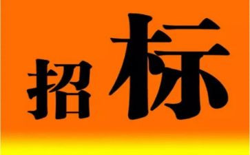 招标的心得体会8篇