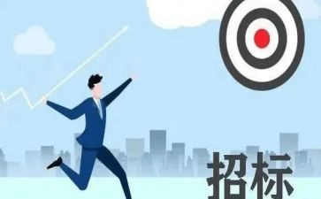 招标采购工作总结6篇