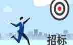 招标采购工作总结6篇
