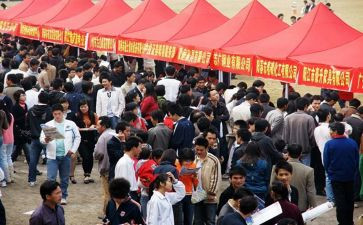 找工作报告模板优质8篇