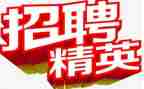 招聘的工作报告报告最新8篇
