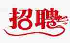 招聘课体会心得体会6篇