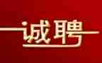 招聘的工作报告报告8篇